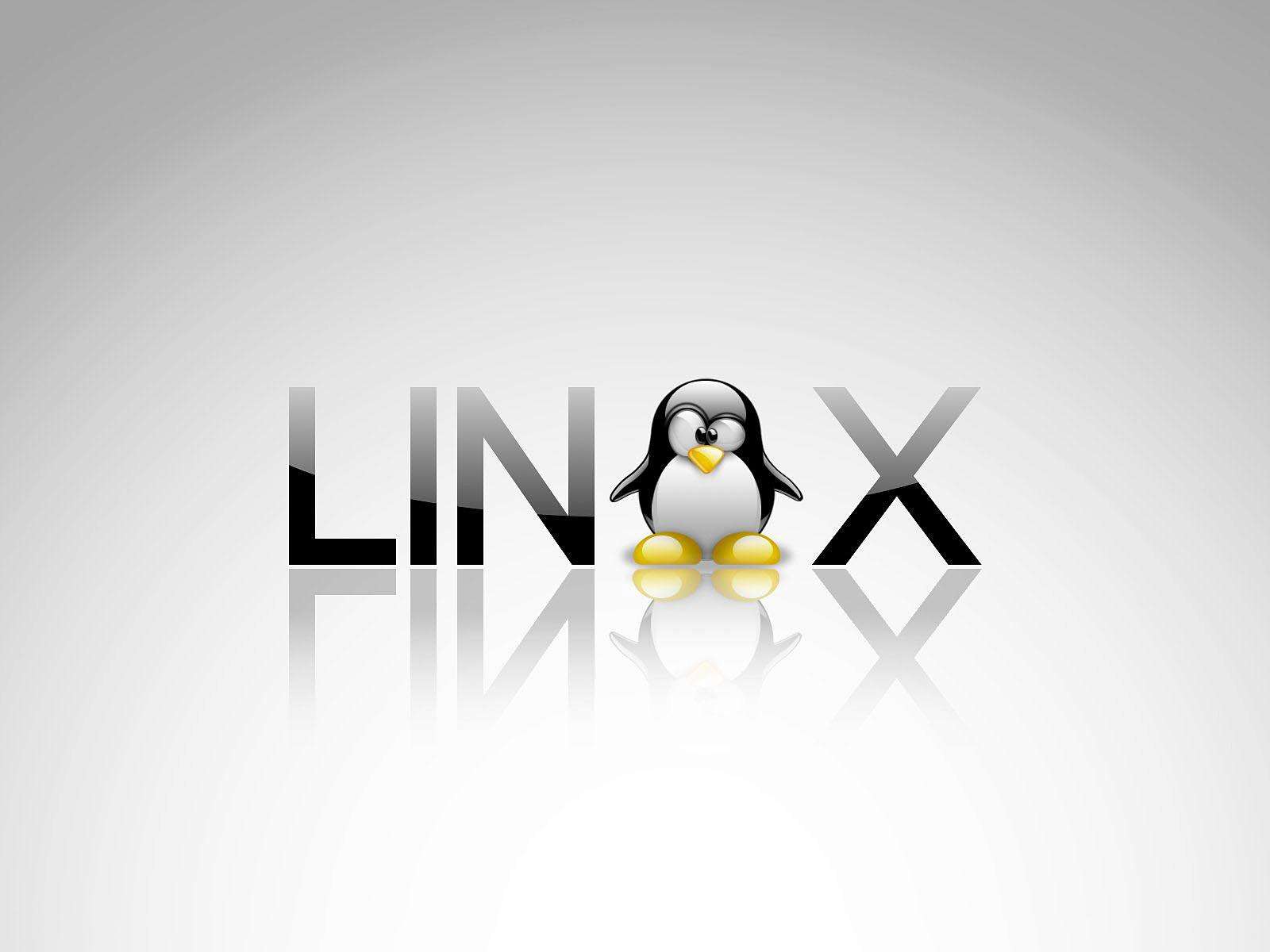 Web服务器租用用户选择Linux系统的原因